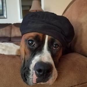 Meet your Posher, Julie